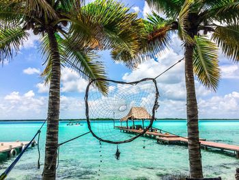 Palm tree by sea against sky