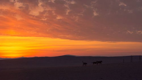 Scenic view of silhouette landscape against orange sky