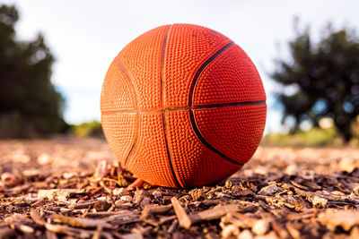 Close-up of red ball hanging on field