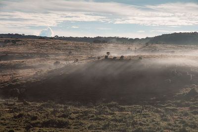 Scenic view of field against sky
