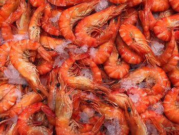 Full frame shot of prawns for sale at fish market