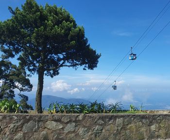 Low angle view of trees against sky with cable car station at the background. 