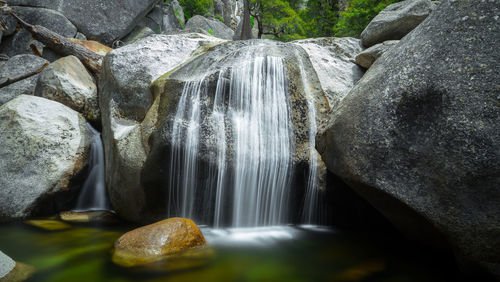 Scenic view of waterfall in forest