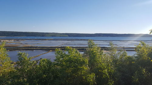 Scenic view of lake against clear blue sky