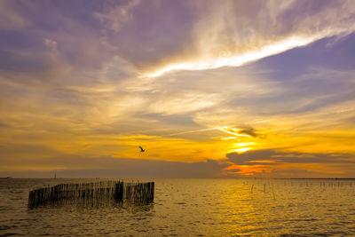 Scenic view of sunset over sea