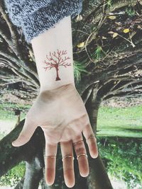 Close-up of hands