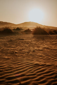 Scenic view of desert against sky during sunset