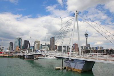 Sailboats moored at harbor against sky