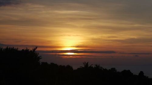 Silhouette of trees at sunset