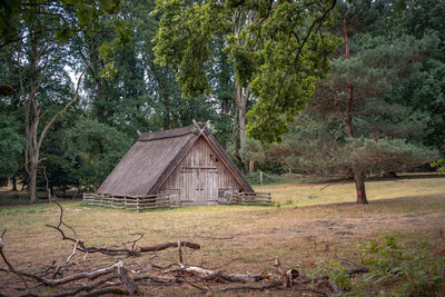 Abandoned house amidst trees in forest