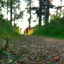 Man walking in forest