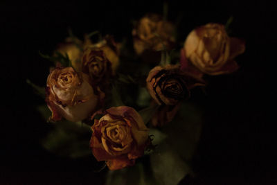 Close-up of rose bouquet against black background