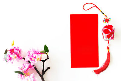 High angle view of pink flowering plant against white background