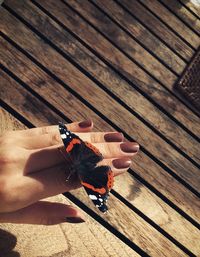 High angle view of butterfly on hand