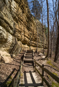 Empty steps leading towards rock formations by bare trees