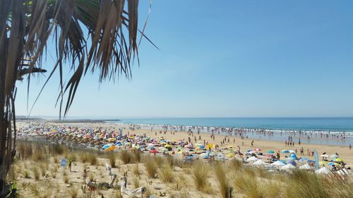 Scenic view of beach against clear blue sky