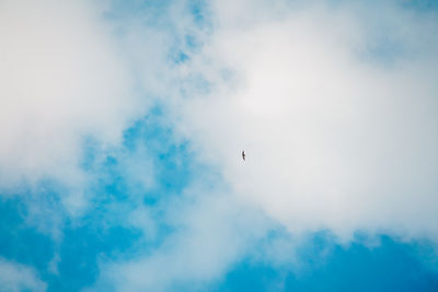 Low angle view of bird flying in sky