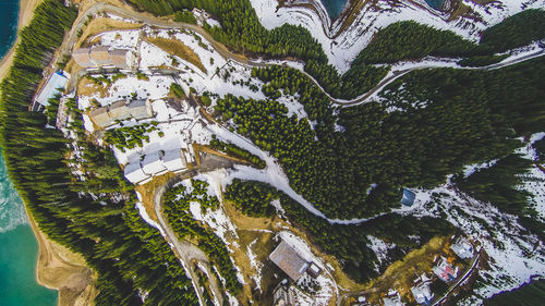 High angle view of tree during winter