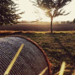 Scenic view of field against sky at sunset