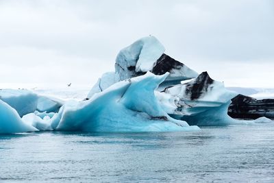Iceland glacierlagoon jökulsarlon,  floating icebergs 