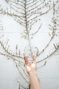 Close-up of woman hand holding plant against wall