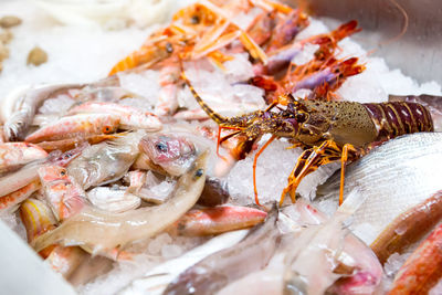 Close-up of fish for sale in market