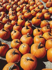 Full frame of mushrooms