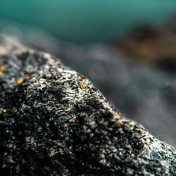 Close-up of rocks