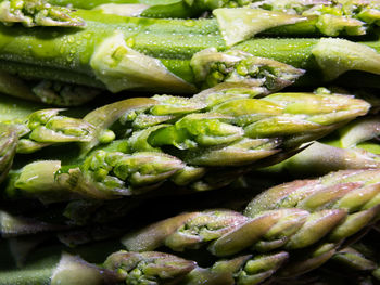 Detail shot of vegetables