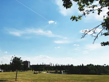 Trees on field against sky