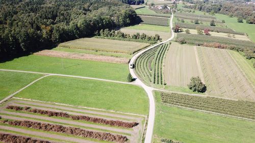 High angle view of trees on landscape