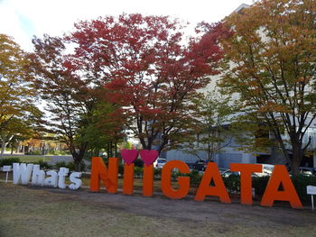 Multi colored text on street light against trees