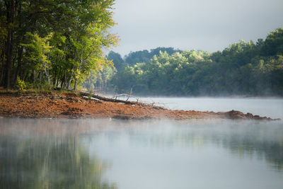 Reflection of trees in calm lake