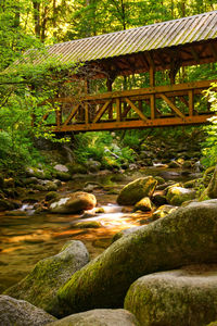 View of bridge over stream in forest