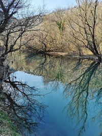 Reflection of bare trees in lake against sky