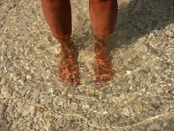 Low section of person standing on beach