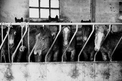 View of built structure