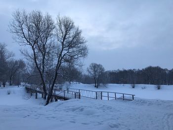 Bare trees on snow covered field against sky