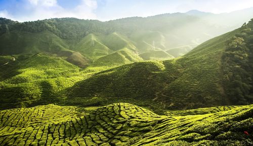 Scenic view of green mountains