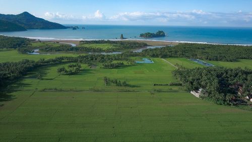 Scenic view of agricultural field by sea against sky