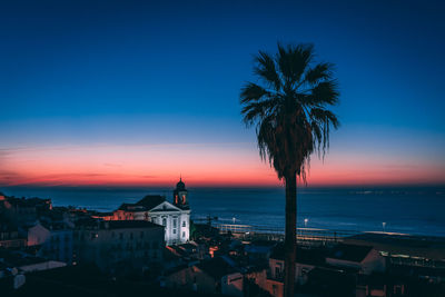 Palm trees by sea against sky during sunset