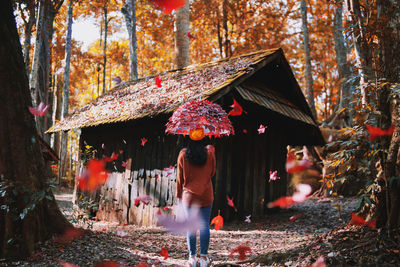 Rear view of young woman with umbrella standing on field in forest during autumn