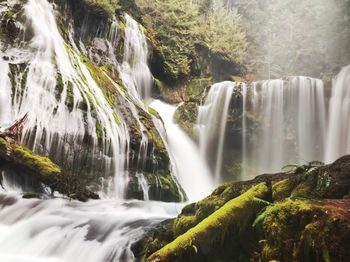 Scenic view of waterfall in forest