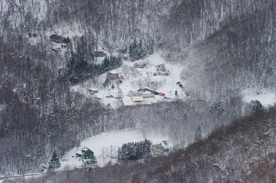 High angle view of trees during winter