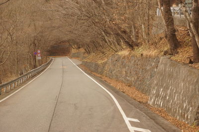 Road amidst bare trees