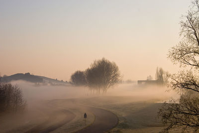 Road by trees against sky during winter