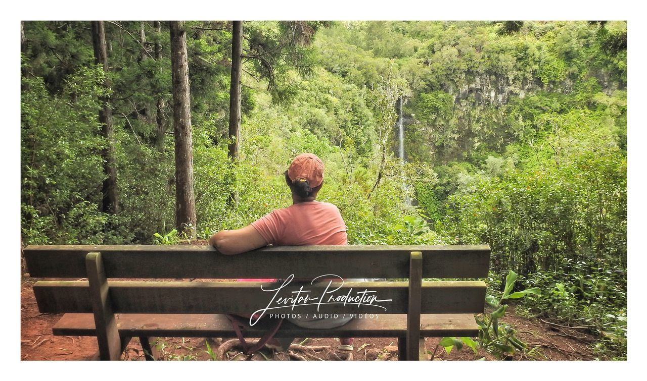 rear view, auto post production filter, transfer print, tree, seat, sitting, plant, one person, real people, bench, nature, leisure activity, day, men, relaxation, growth, lifestyles, forest, outdoors, looking at view