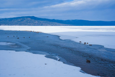 Scenic view of sea against sky during winter