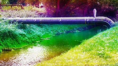 Scenic view of swimming pool by lake