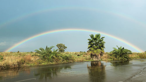 Scenic view of rainbow over trees against sky